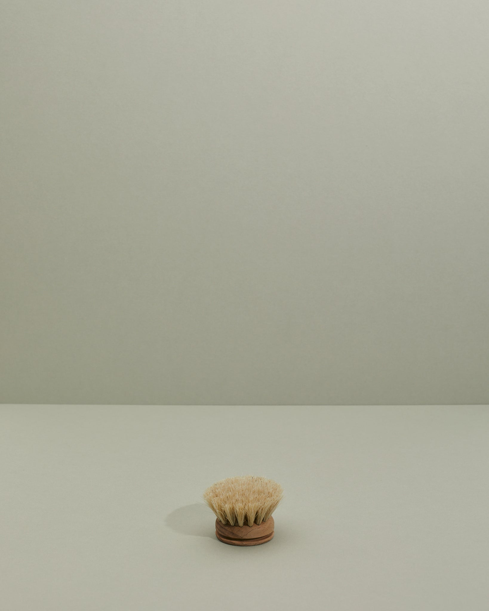 Everyday Dish Brush