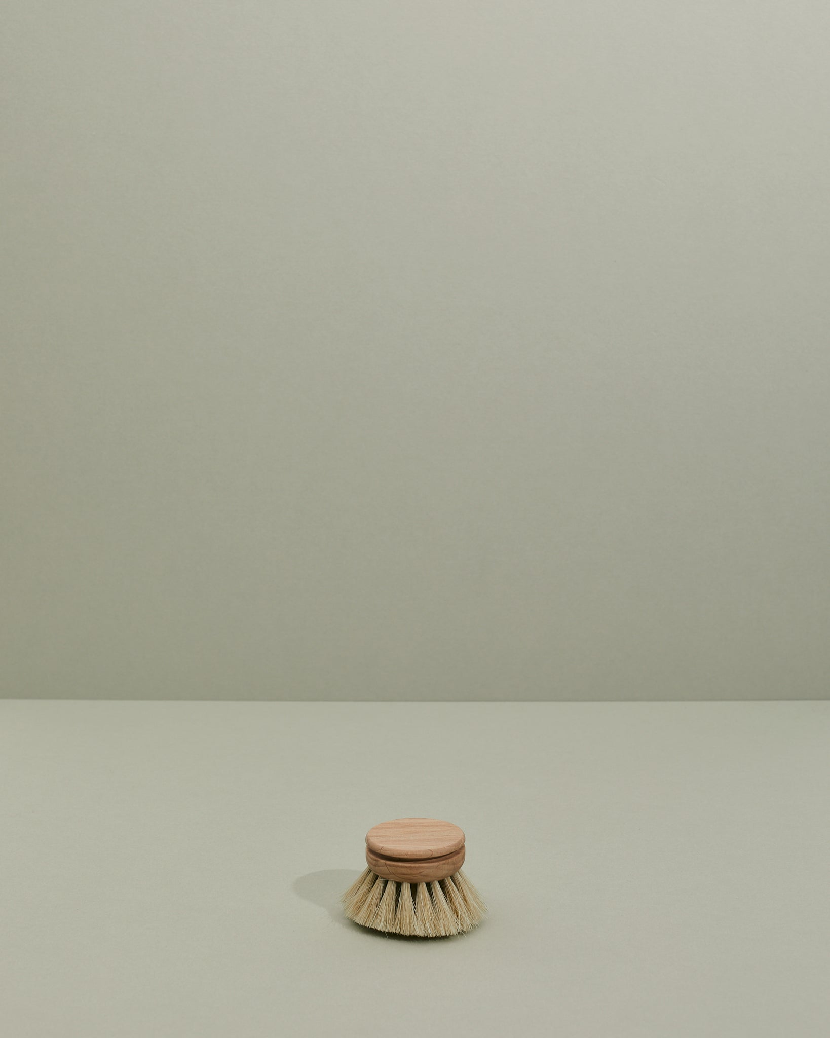 Everyday Dish Brush